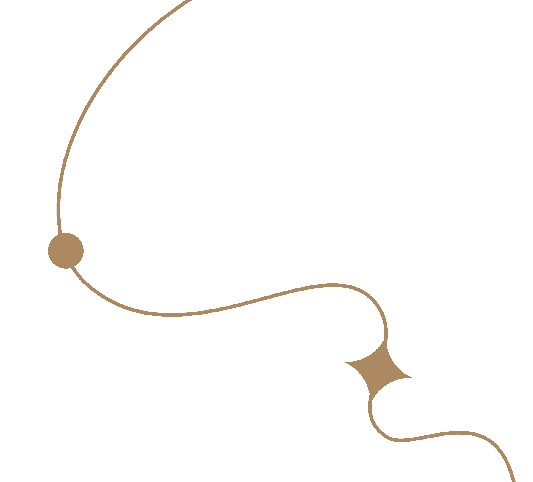 jewelry-designer-4